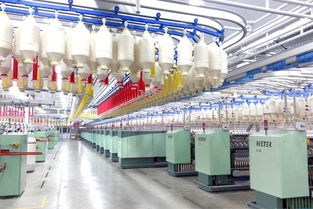 中国农业机械学会助力发布 2024年世界与中国智能制造十大科技进展